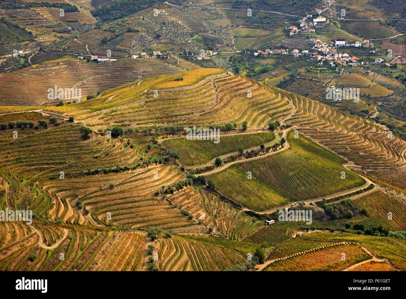 Weinberge in Pinhao Tal im Herzen des Alto Douro Wein-Region (UNESCO-Weltkulturerbe,), Porto e Norte, Portugal Stockfoto