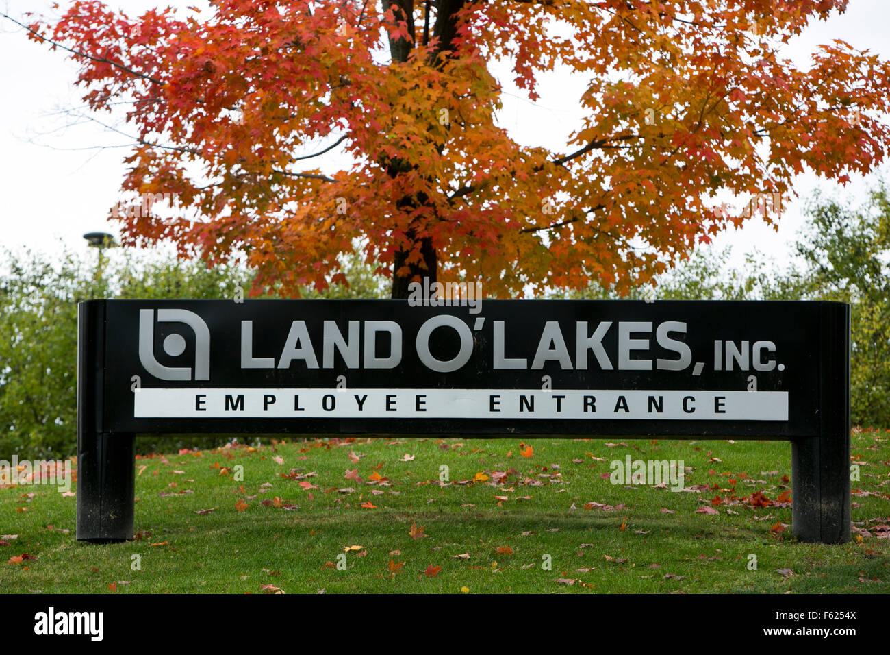 Ein Logo Zeichen außerhalb der Hauptsitz des Land O' Lakes, Inc., in Arden Hills, Minnesota am 24. Oktober 2015. Stockfoto