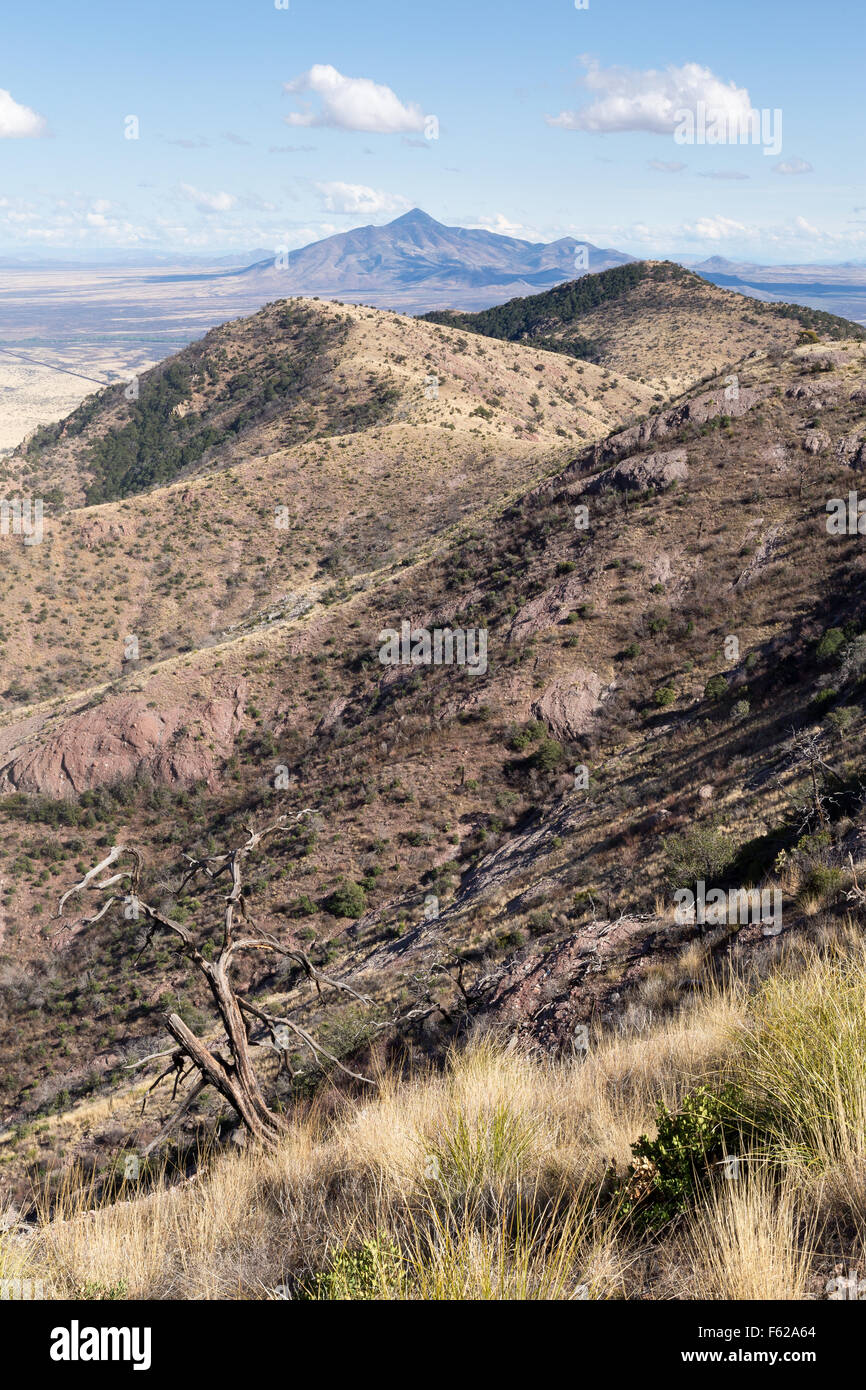 Die Huachuca Mountains und Ausläufern, Süd-Arizona Stockfoto