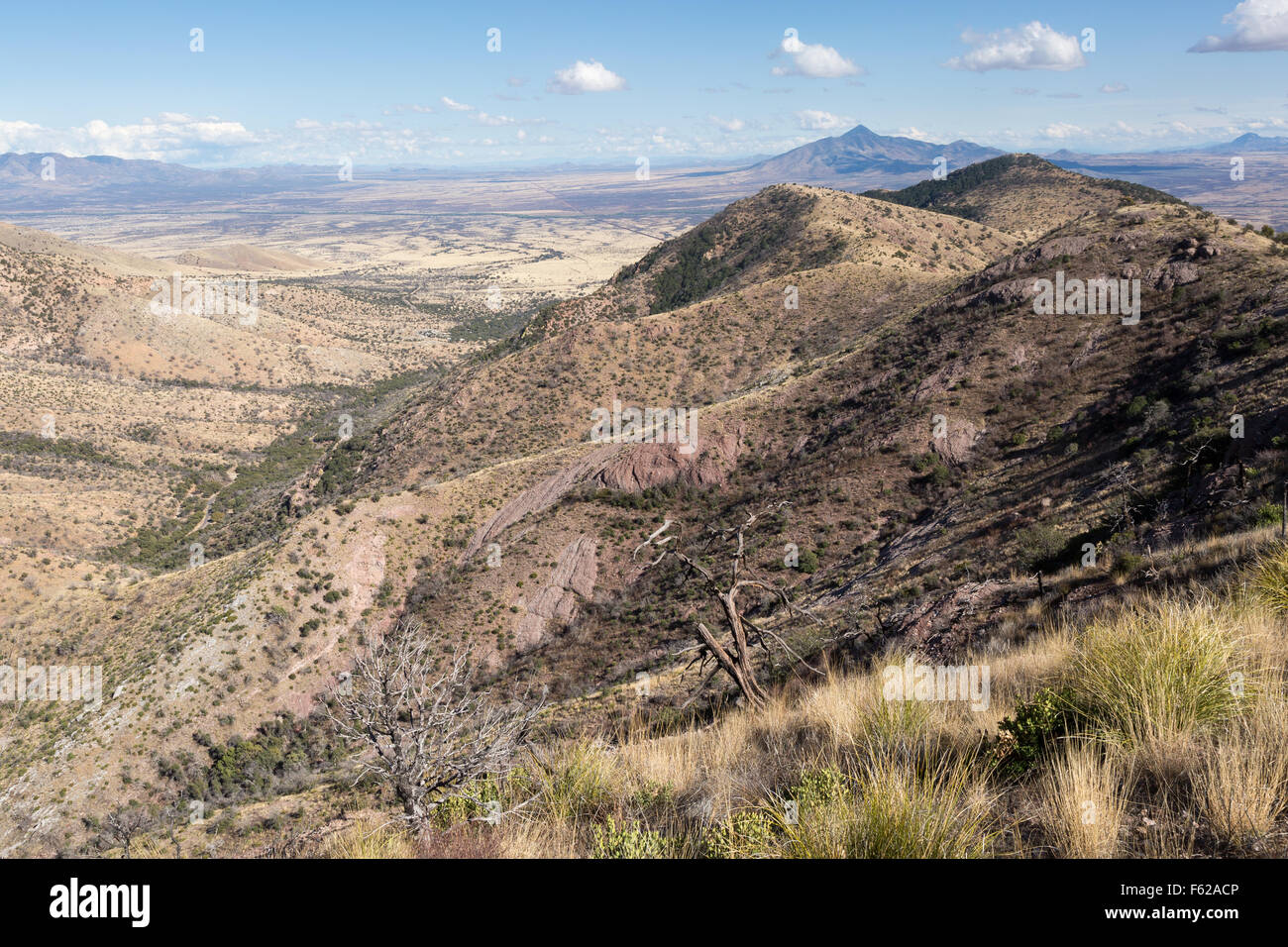 Die Huachuca Mountains und Ausläufern, Süd-Arizona Stockfoto