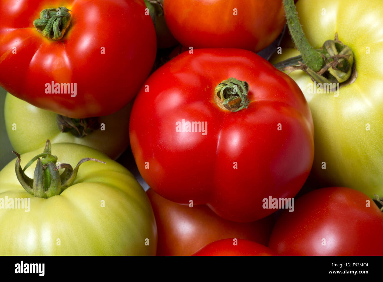 WA10934-00... WASHINGTON - eine herbstliche Ernte von Tomaten. Stockfoto