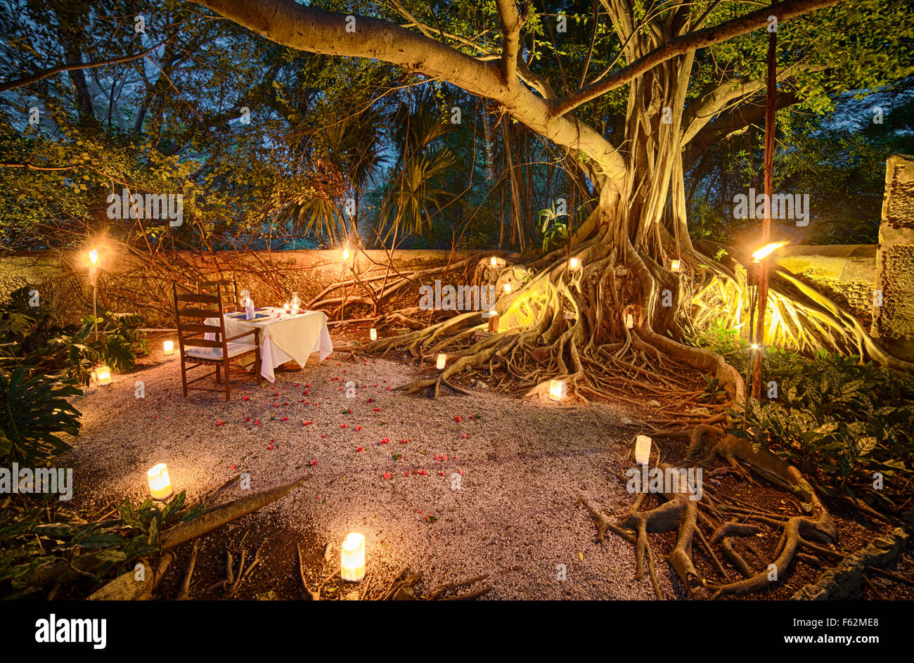 Ein Tisch für zwei unter dem Baum der Träume im renovierten Hacienda Hotel San Jose Cholul in Yucatan, Mexiko. Stockfoto