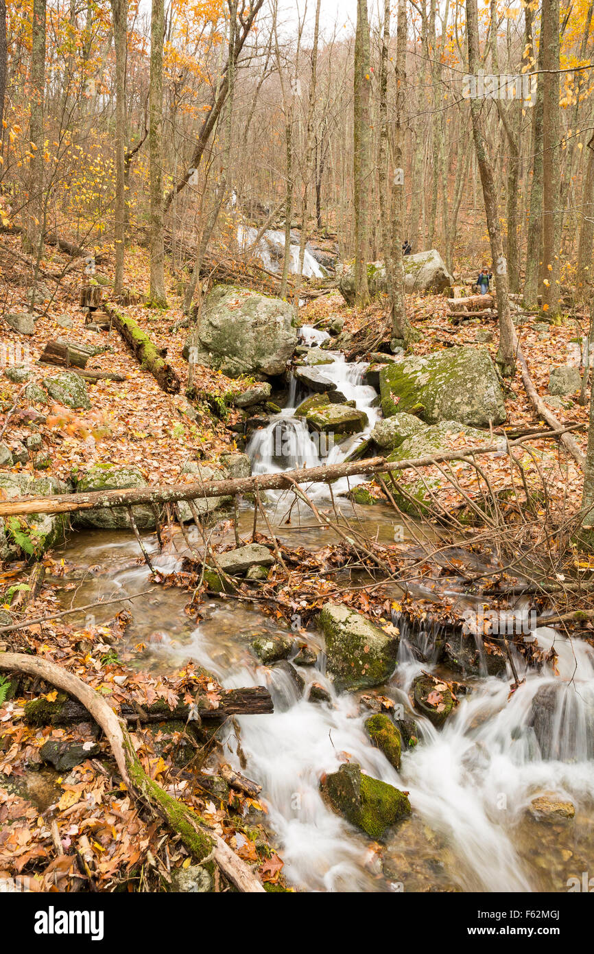 Herbstfarben in virginia Stockfoto