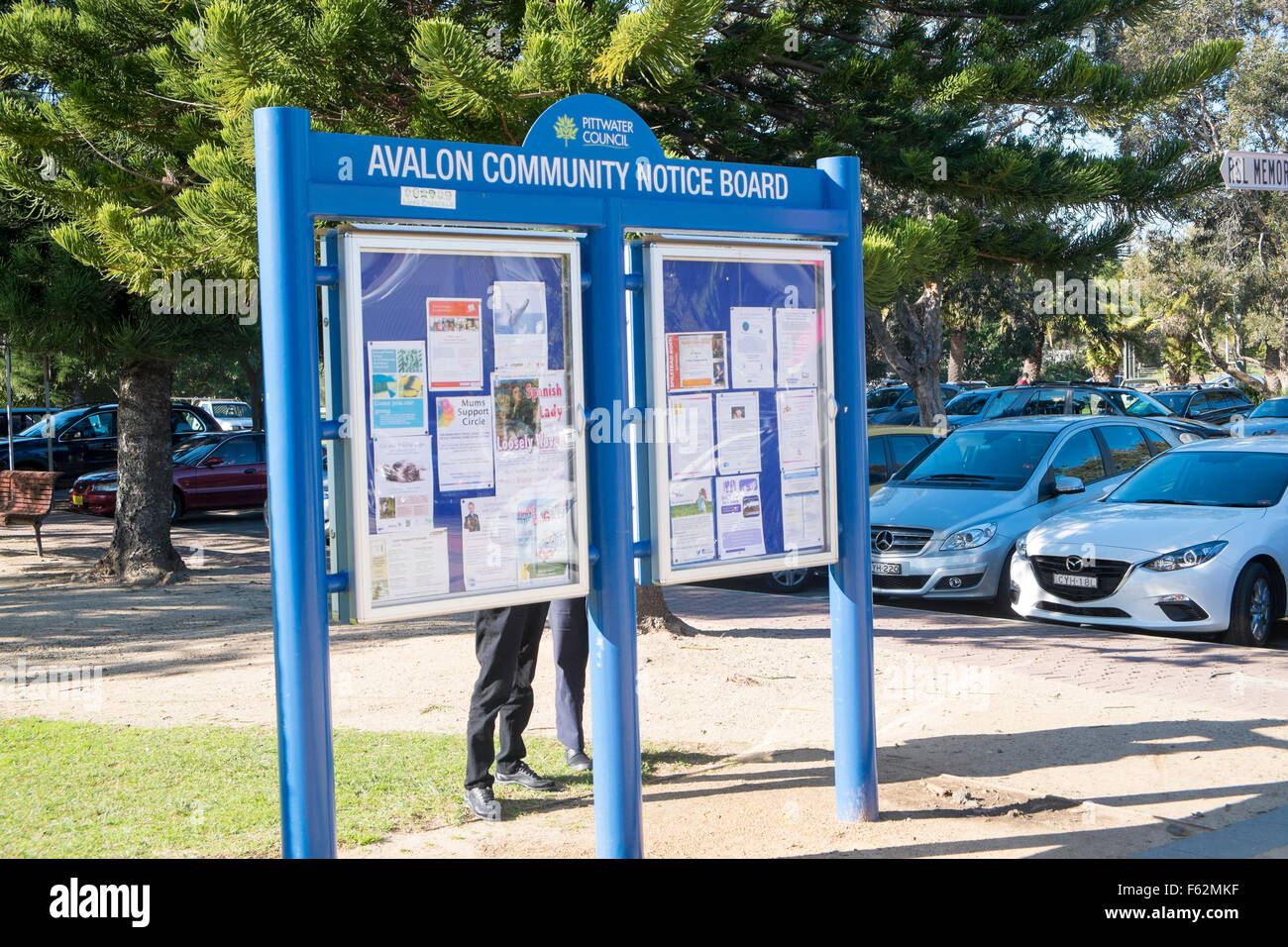 Community Pinnwand in Sydney Avalon Beach, Australien Stockfoto