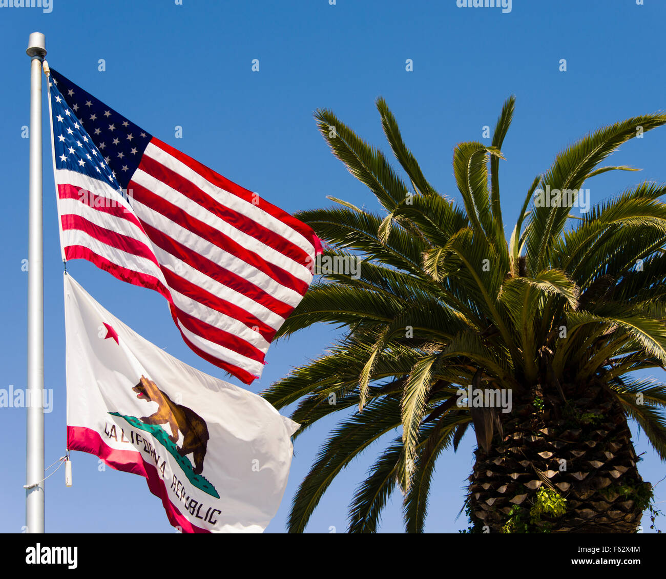 Amerikanische Flagge zusammen mit der California State Flag Stockfoto