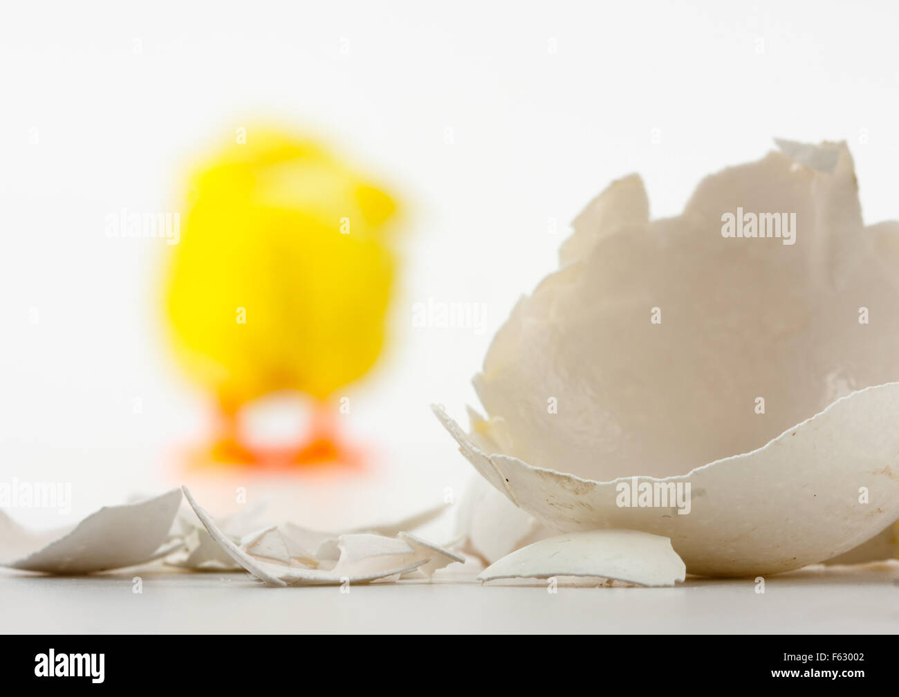 Eierschale Risse und zu Fuß entfernt Neugeborenen Huhn Stockfoto