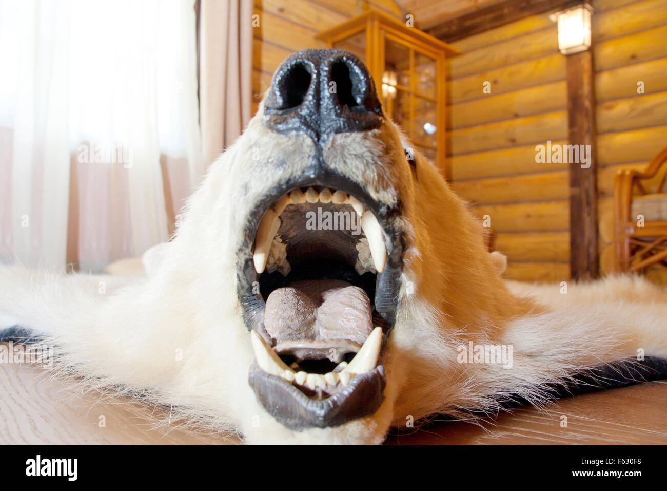 Barenhaut Teppich Stockfotos Barenhaut Teppich Bilder Alamy