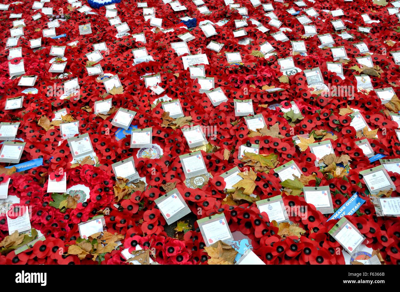 London, England, Vereinigtes Königreich. Mohn und Nachrichten, die an der Kenotaph in Whitehall nach der Erinnerung Sonntag Zeremonie, 2015 Stockfoto