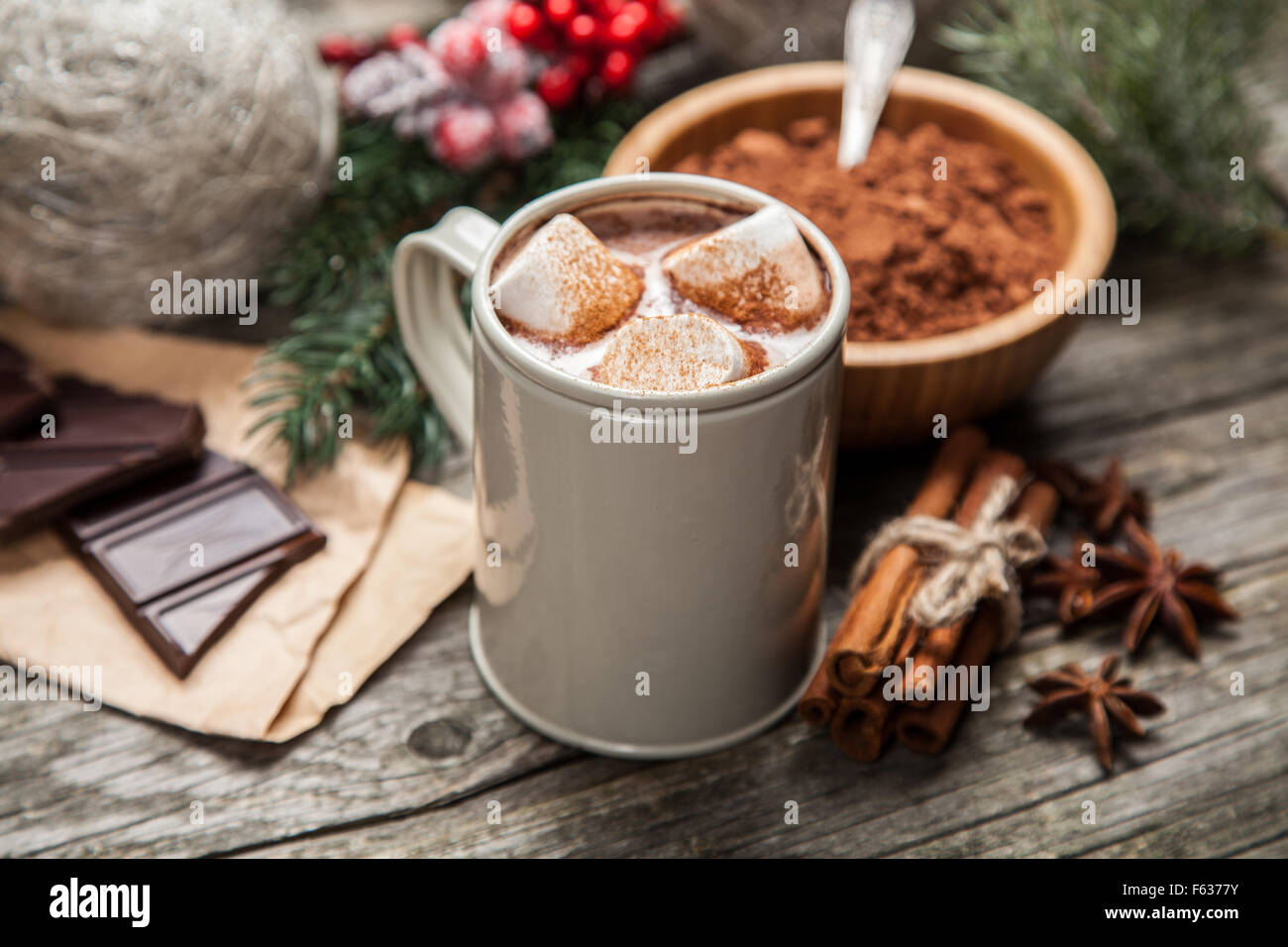 Kakaogetränk mit marshmallows Stockfoto