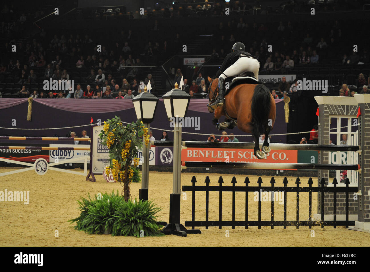 Galopper des Jahres 2015 in Birmingham NEC mit zeigen: LA GRANDE Z, Thomas Whitaker Where: Birmingham, Vereinigtes Königreich bei: 7. Oktober 2015 Stockfoto