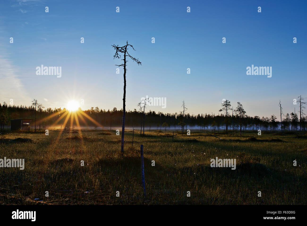 Ein Versteck für das Ansehen von Wölfen und Bären. Bereich Kuhmo, Finnland (1 km von der russischen Grenze). Stockfoto