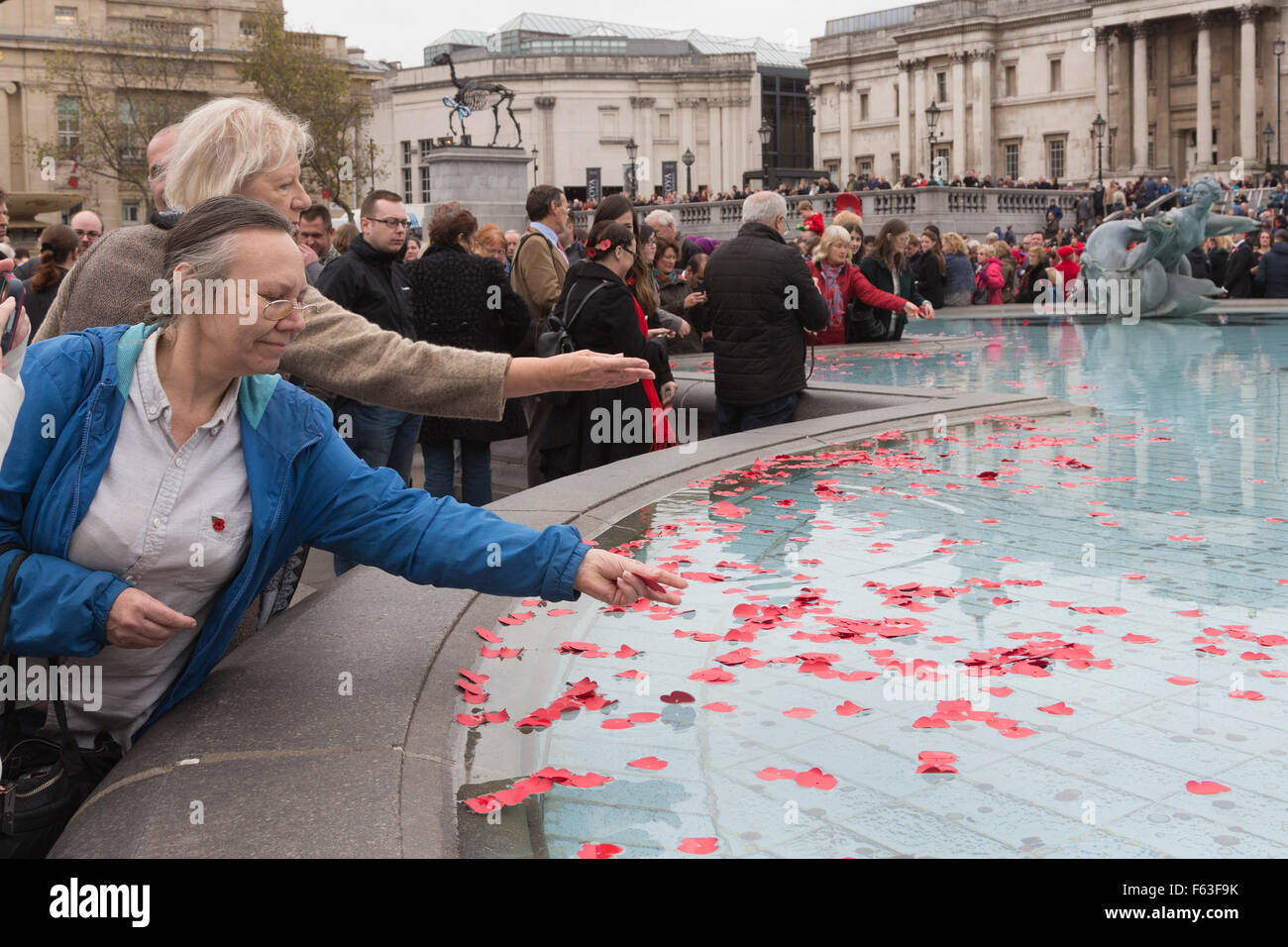 London, UK. 11. November 2015. Im Bild: Menschen setzen Mohn Blütenblätter in Trafalgar Square Brunnen als ein symbolischer Akt der Erinnerung. Menschen versammeln sich für eine zwei Minuten Stille am Volkstrauertag auf dem Trafalgar Square für Ruhe auf dem Platz. Bildnachweis: Lebendige Bilder/Alamy Live-Nachrichten Stockfoto