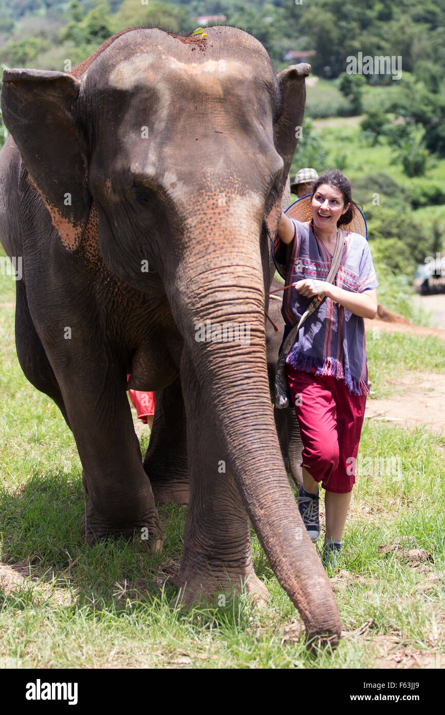 Tourismus in ein Heiligtum der Elefanten in Thailand Stockfoto
