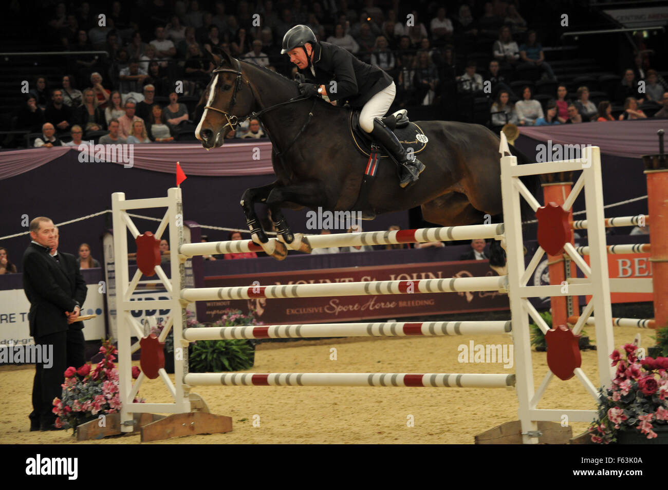 Galopper des Jahres zeigen 2015 im NEC Birmingham - Tag 3 mit: ORNELLAIA - HOLST, John WHITAKER wo: Birmingham, Vereinigtes Königreich bei: 9. Oktober 2015 Stockfoto