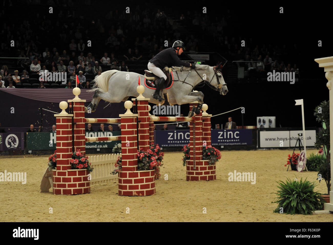Galopper des Jahres zeigen 2015 im NEC Birmingham - Tag 3 mit: VALENTIN R - KWPN, Michael WHITAKER wo: Birmingham, Vereinigtes Königreich bei: 9. Oktober 2015 Stockfoto