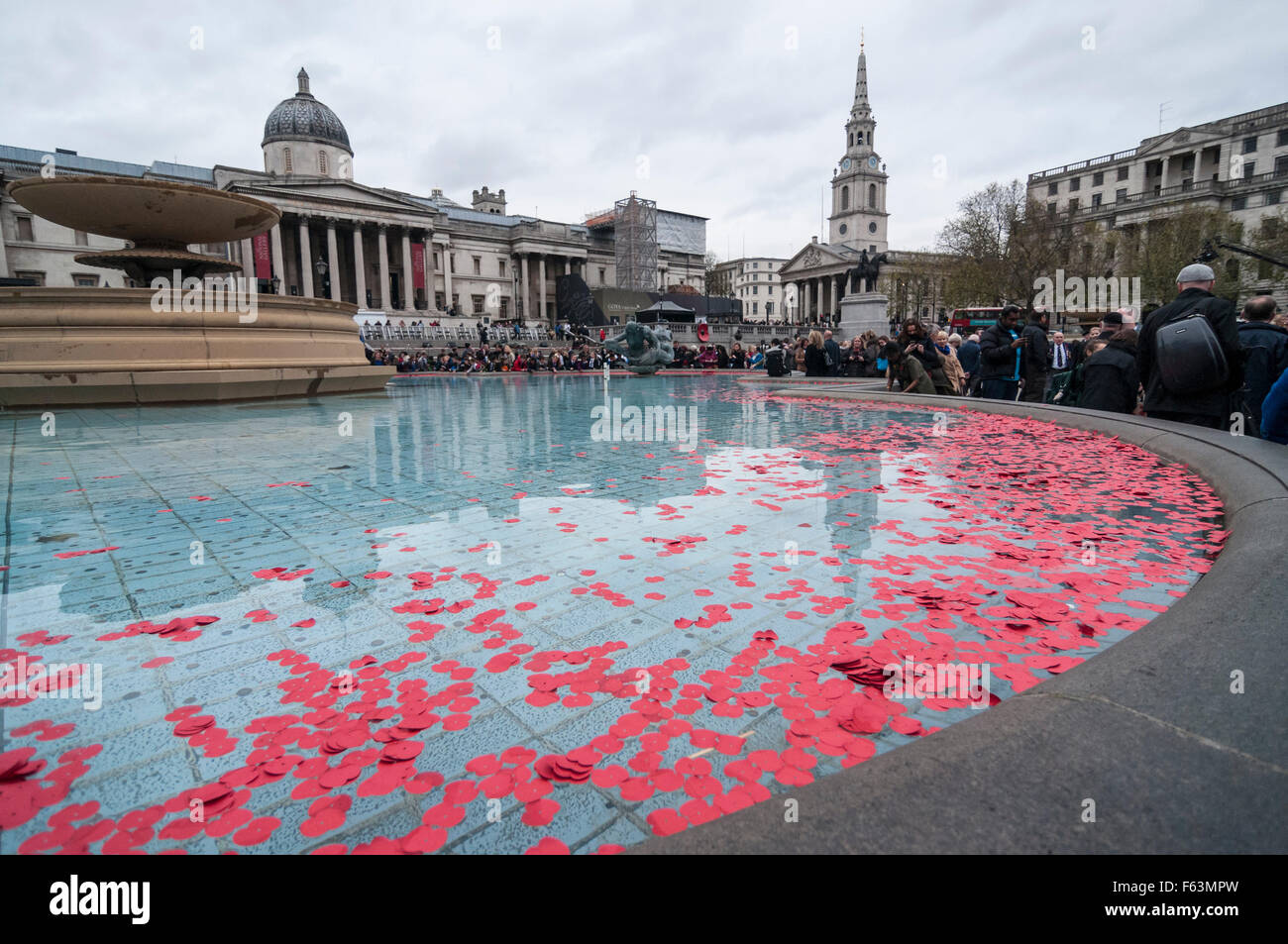 London, UK.  11. November 2015.  Mohn in den Brunnen am Trafalgar Square im Rahmen der Stille auf dem Platz geworfen, eine jährliche Veranstaltung zog von der Royal British Legion, am Tag des Waffenstillstands Credit: Stephen Chung / Alamy Live News Stockfoto