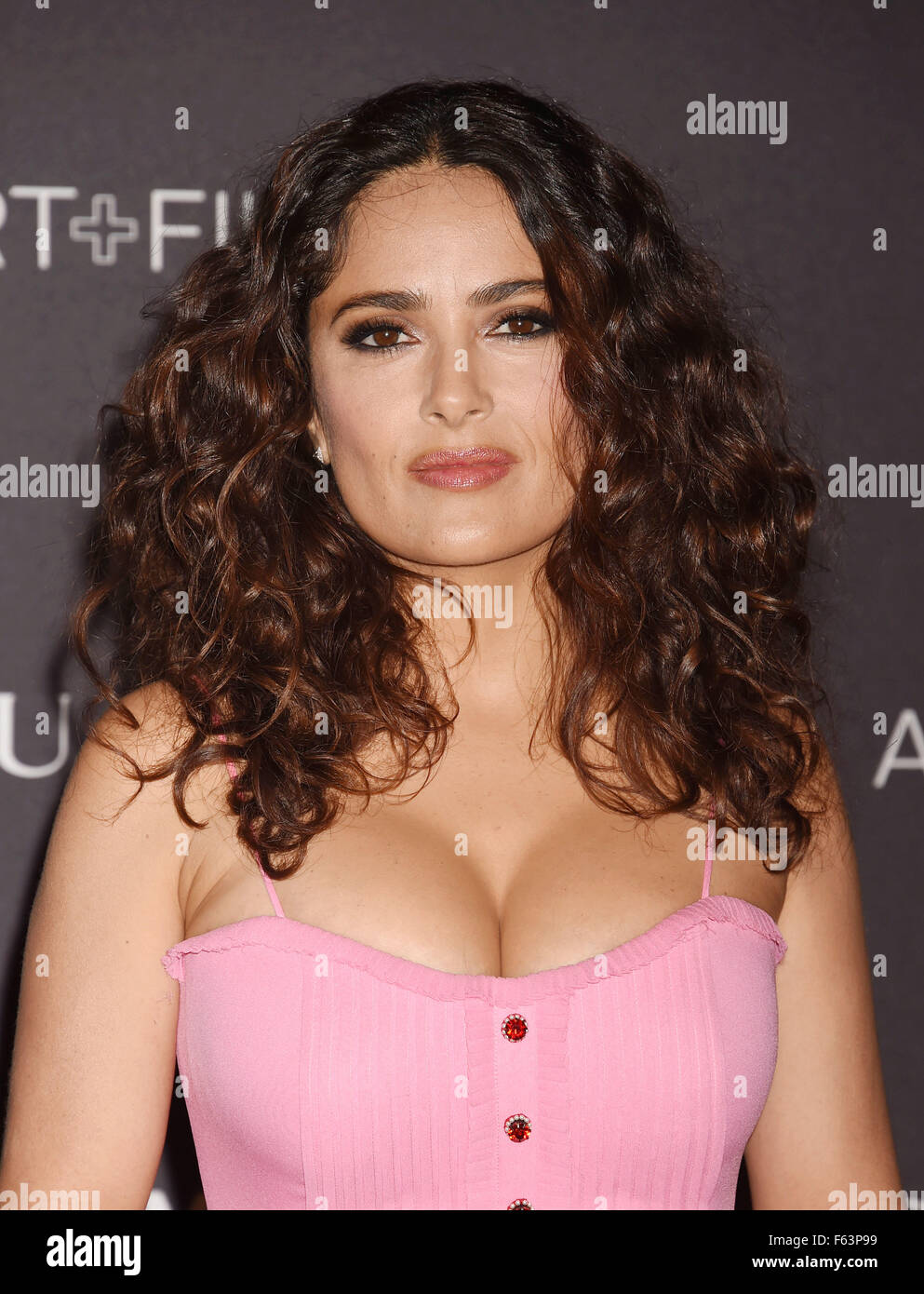 Schauspielerin SALMA HAYEK U.S. im November 2015. Foto Jeffrey Mayer Stockfoto