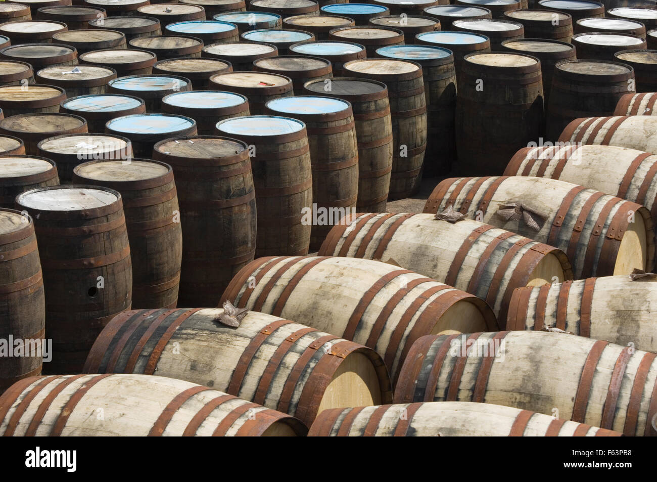 Fässer außerhalb einer Destillerie in Aberdeenshire, Schottland. Stockfoto