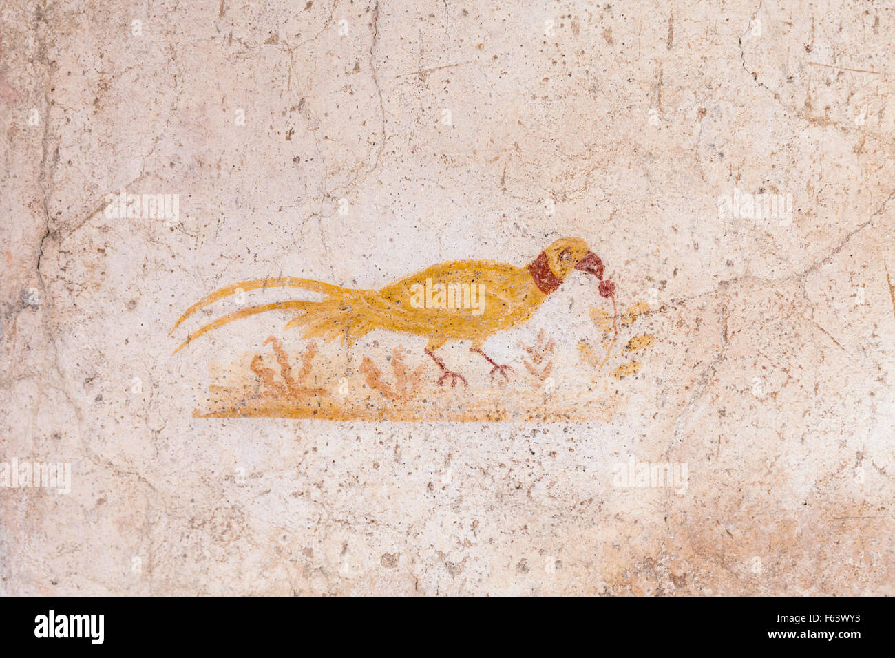 Fresko-Wandbild eines Vogels, Obsternte, dekoratives Element an der Wand eines antiken römischen Hauses in Pompeji, Italien Stockfoto