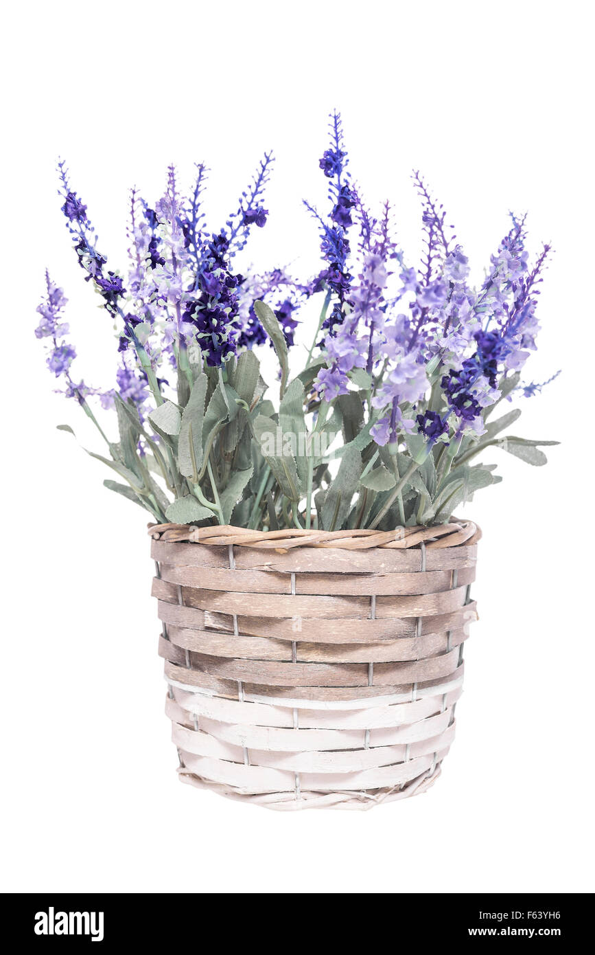 Korb mit Blumen. Stockfoto