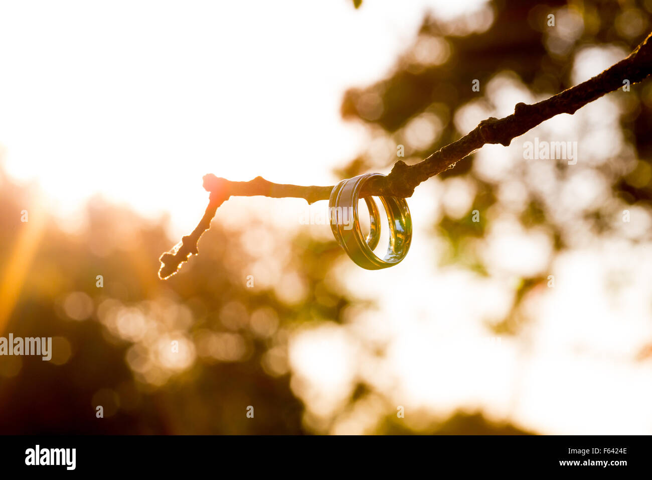 Braut und Bräutigam Trauringe auf dem Ast eines Baumes mit einem Sonnenuntergang und einige lens flare aufgehängt. Stockfoto