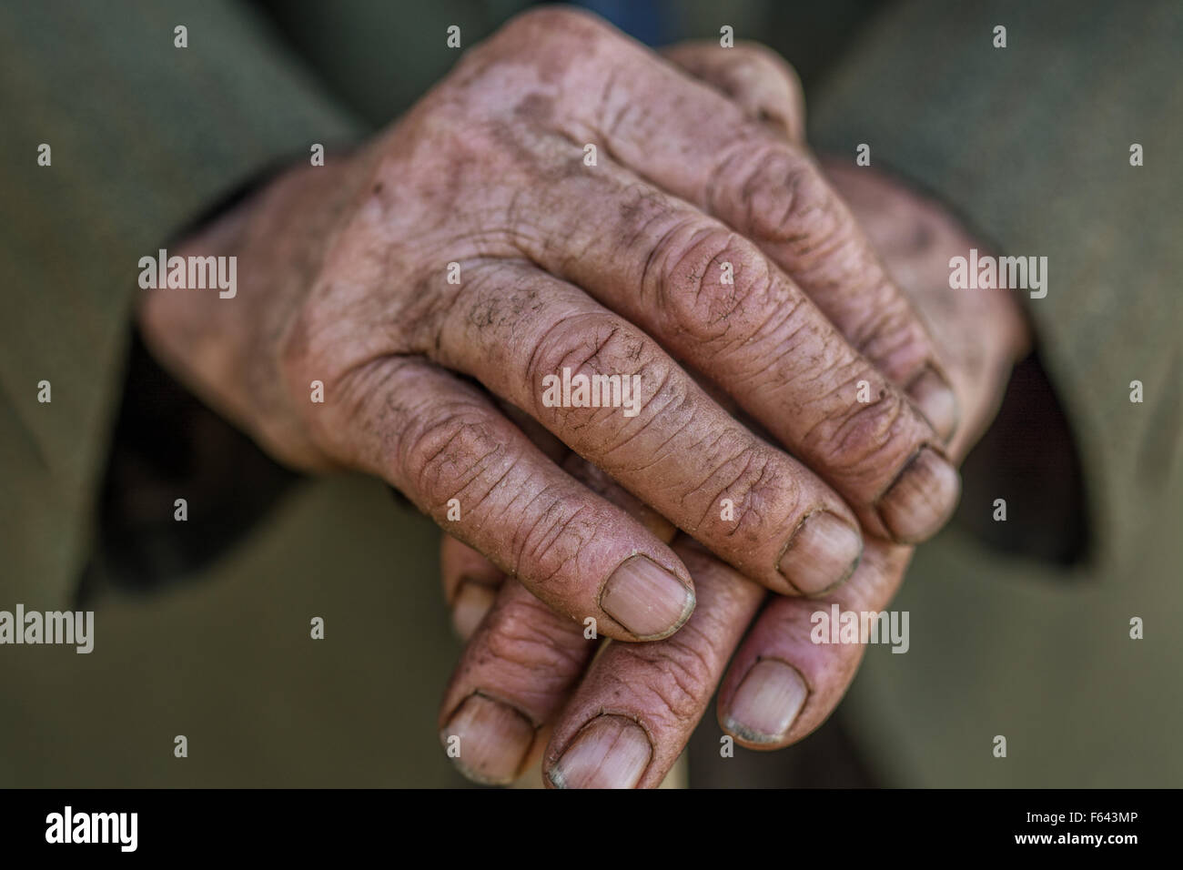 Hand eines älteren Mannes hält einen Stock Stockfoto