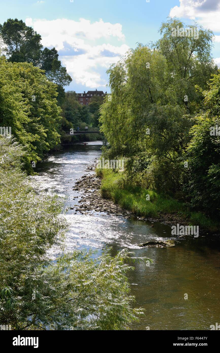 Der Fluss Kelvin durchzogen Kelvingrove Park in Glasgow im Sommer Stockfoto