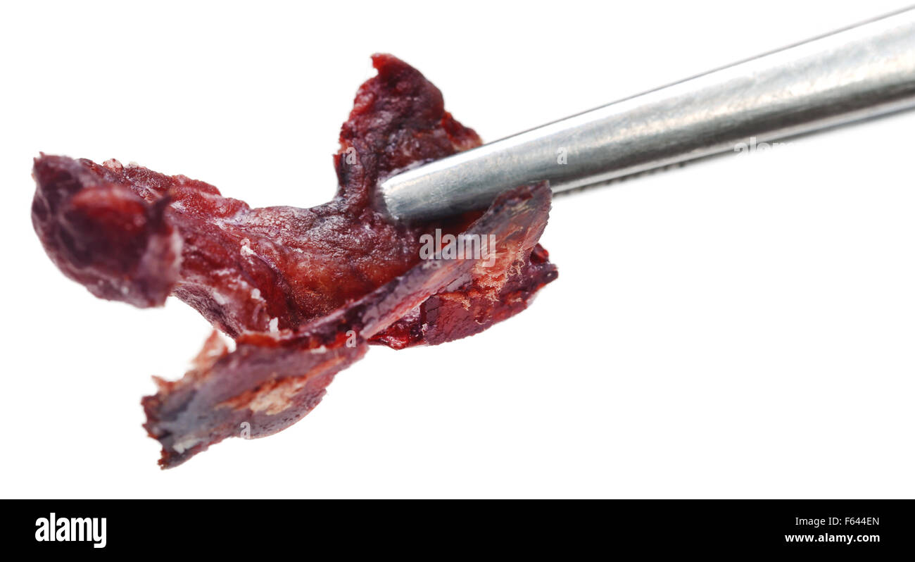 Dickes Blut Gewebe mit der Pinzette für forensische Analysen Stockfoto