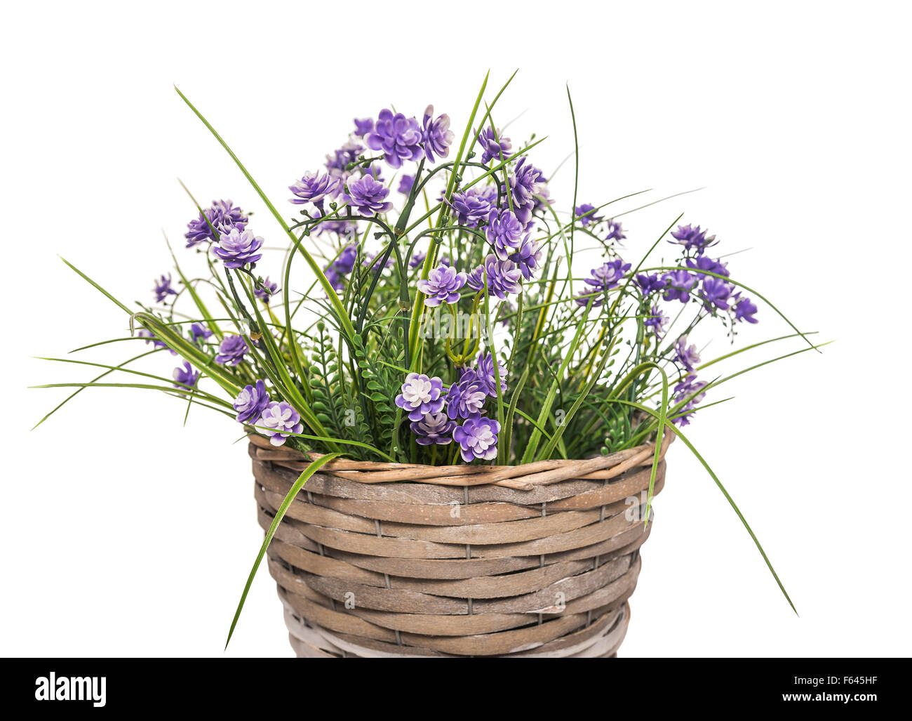 Korb mit Blumen. Stockfoto