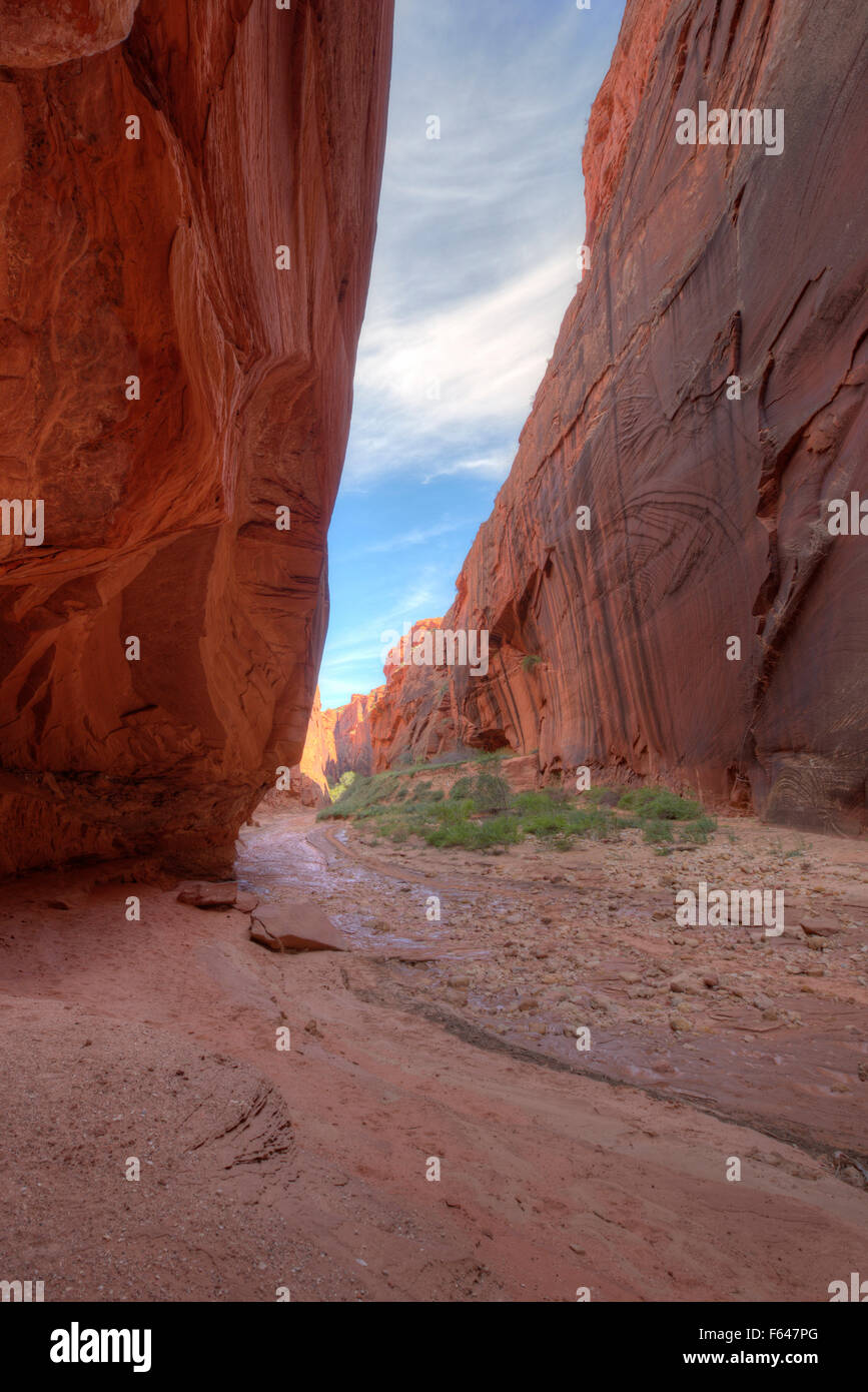 Buckskin Gulch verengt Wüste Slotcanyon im Süden Utahs. Stockfoto