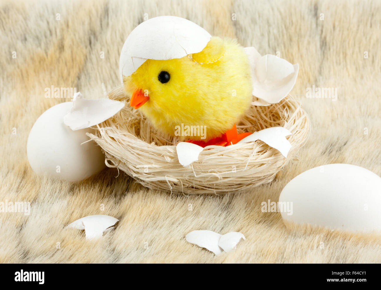 Spielzeug-Küken mit Eierschale im nest Stockfoto