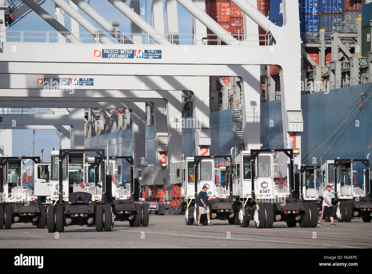 auf dock Fahrzeuge für das Abschleppen, Container und chassis Stockfoto