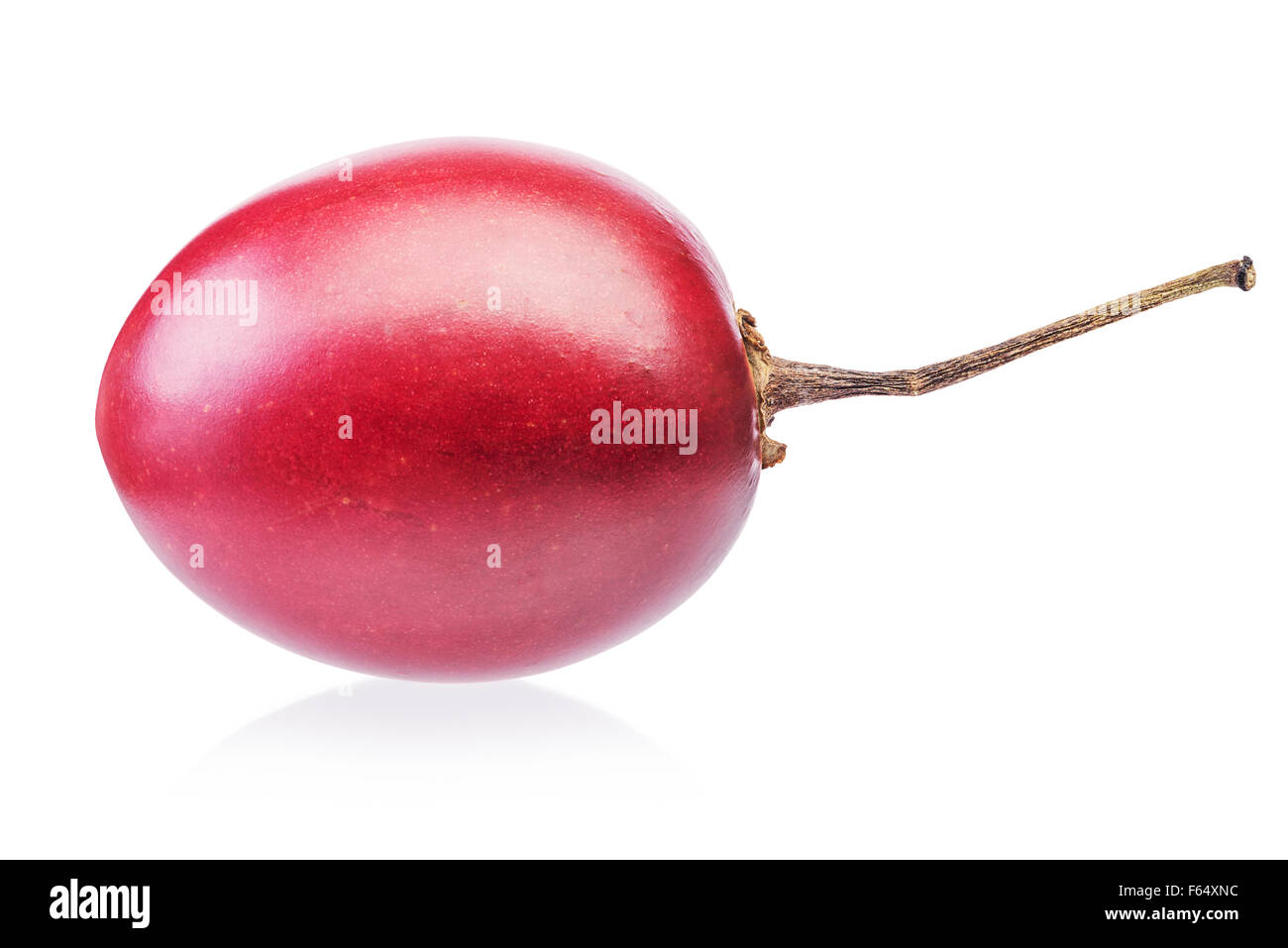 Tamarillo Obst isoliert auf weißem Hintergrund Stockfoto