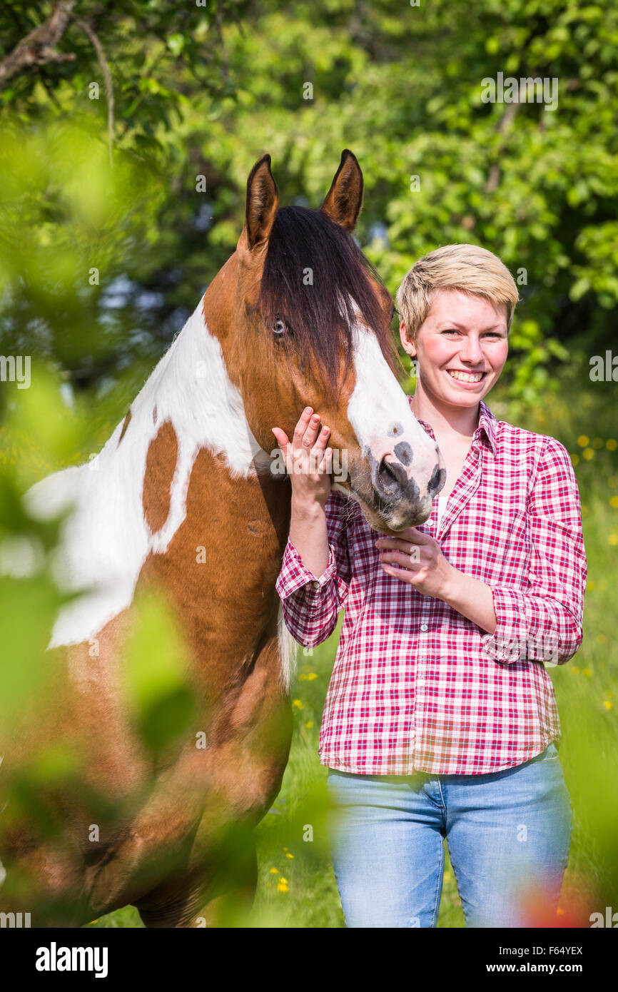 American Paint Horse. Skewbal Erwachsenen stand neben Besitzer. Deutschland Stockfoto