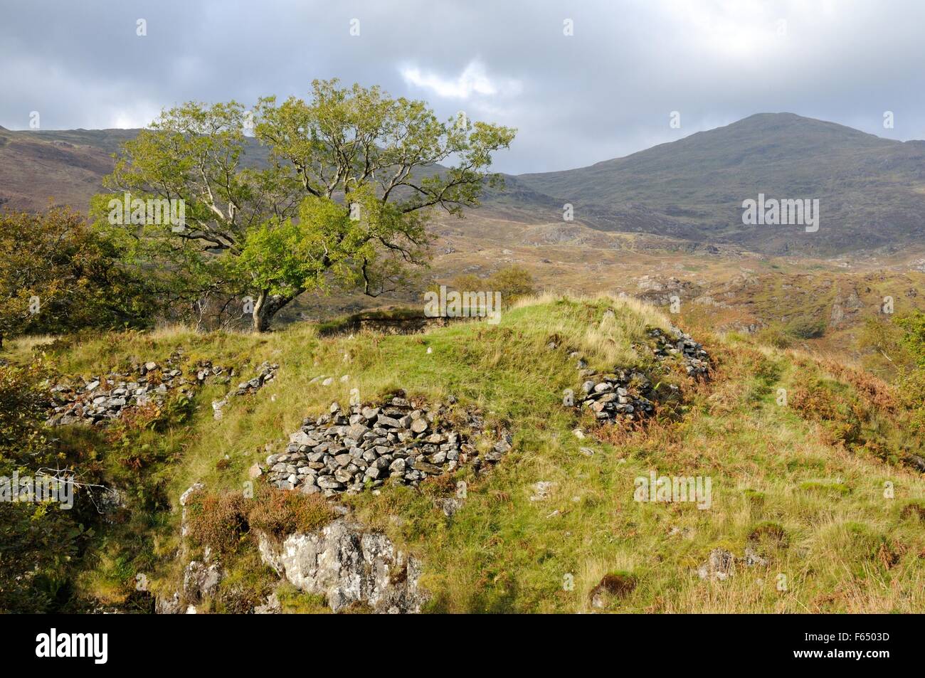DINAS Emrys prähistorischen Wallburg in Richtung Yr Aran im Herbst Beddgelert Snowdonia National Park Wales Cymru UK GB Stockfoto