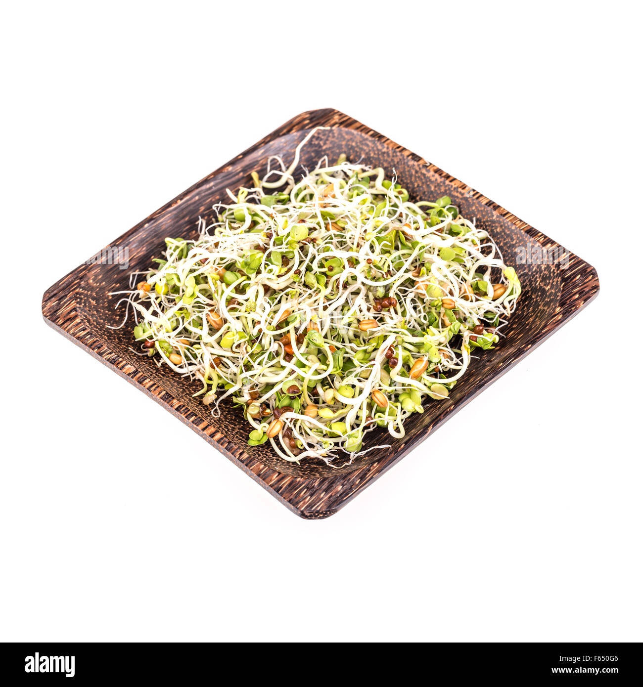 Sprossen Alfalfa, Rettich, Weizen und Senfkörner auf Bambus-Teller Stockfoto