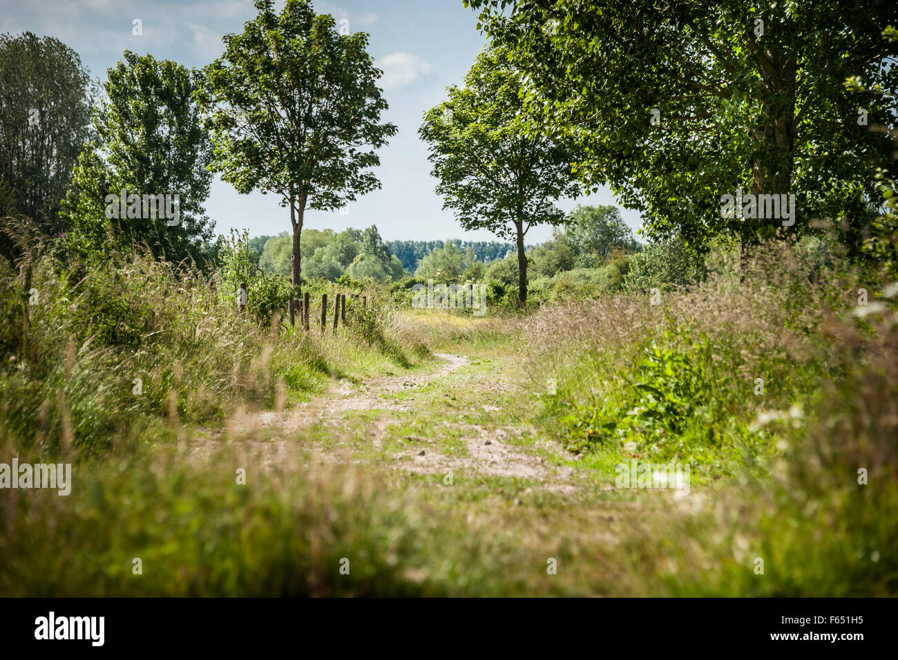 idyllische Wanderweg Stockfoto