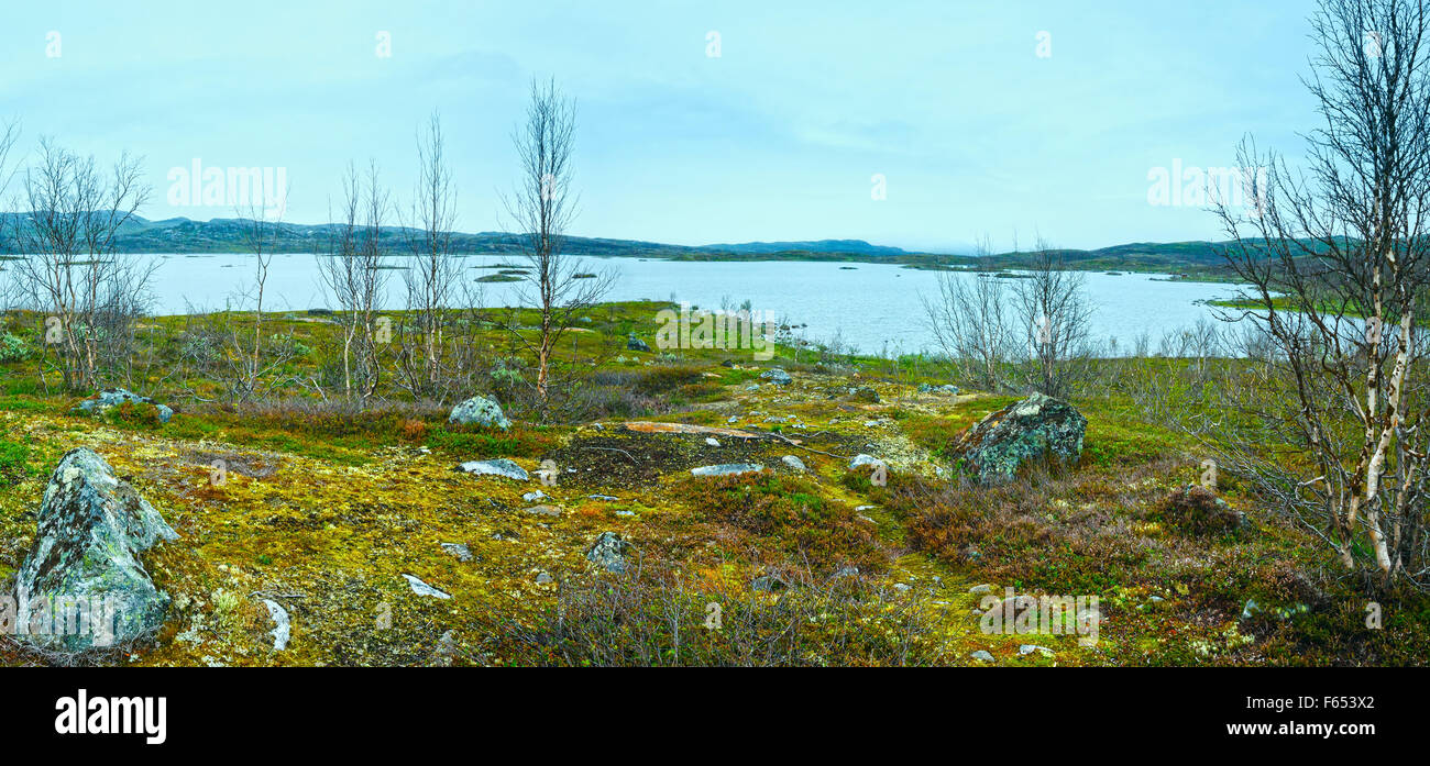 Tornetrask See Sommer trübe Aussicht (Lappland, Norrbotten Grafschaft in Schweden) / Stockfoto