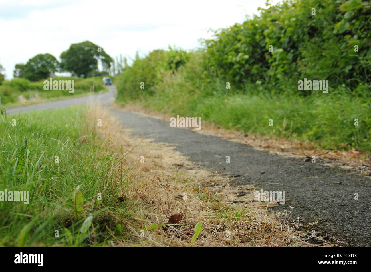 Tote Vegetation auf einem am Straßenrand Pflaster bezeichnend für Herbizid/Weed killer Einsatz, England UK Stockfoto