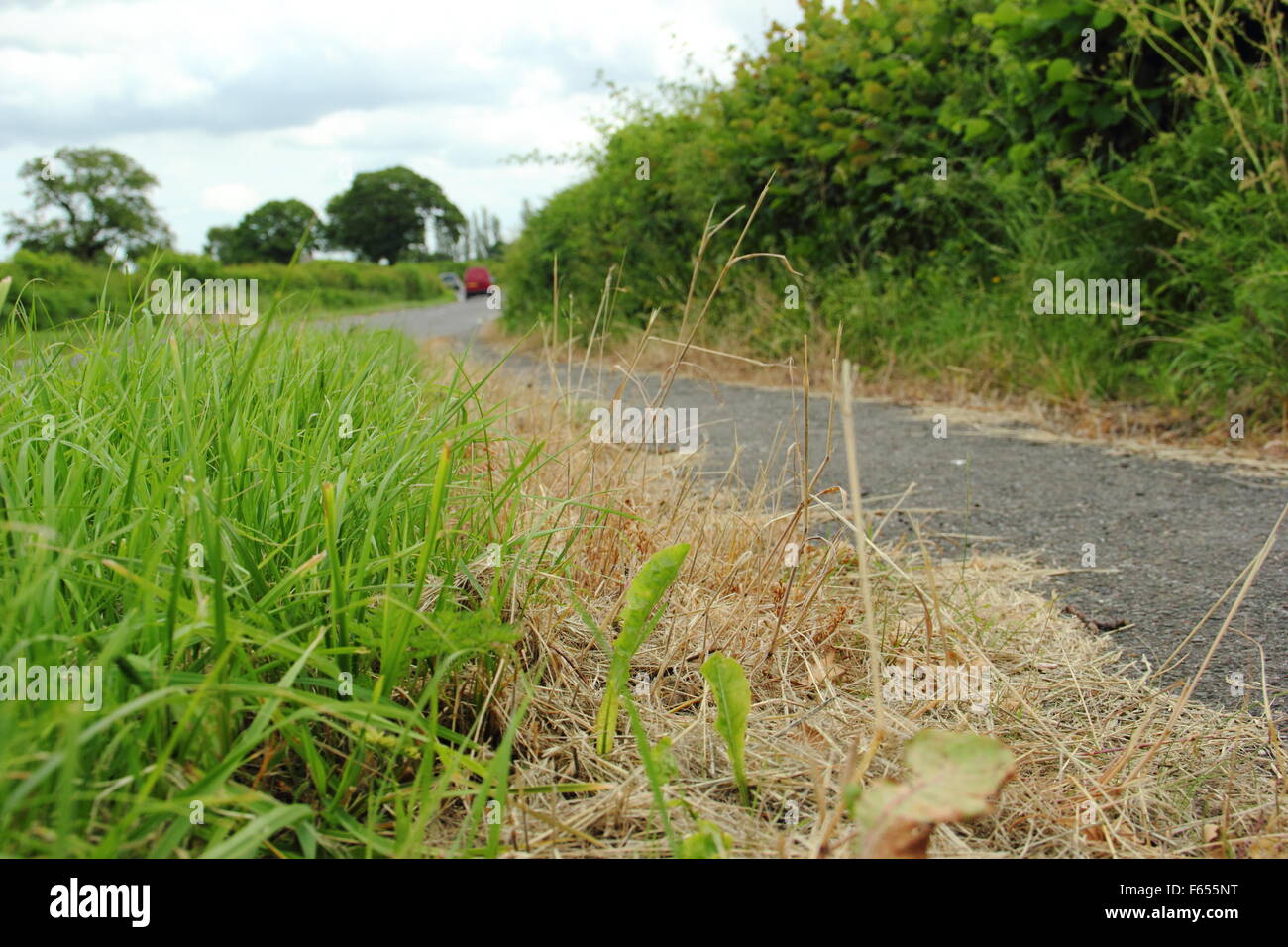 Tote Vegetation auf einem am Straßenrand Pflaster bezeichnend für Herbizid/Weed killer Einsatz, England UK Stockfoto