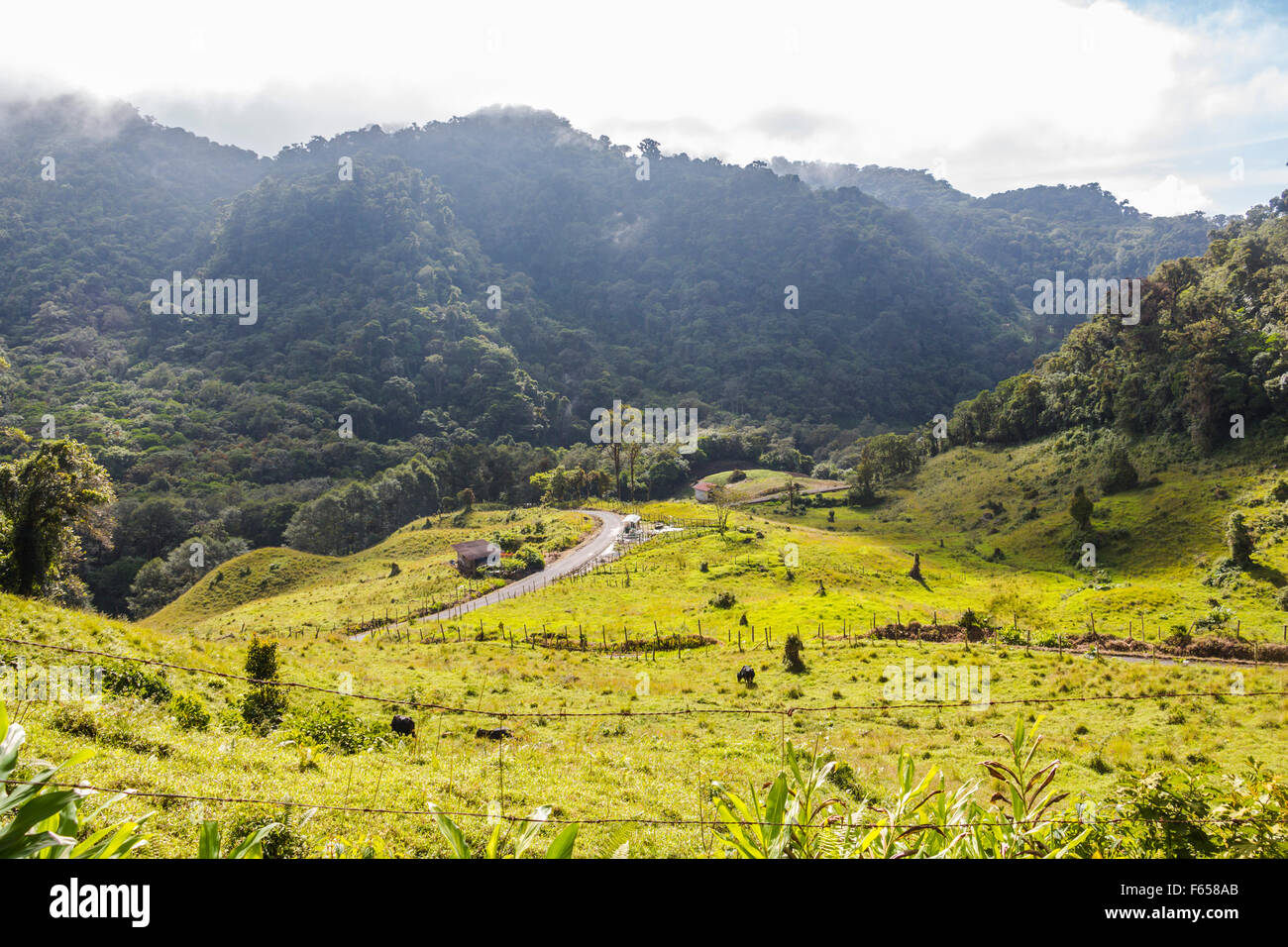 Panama Boquete Landschaft, Quetzal Trail Stockfoto