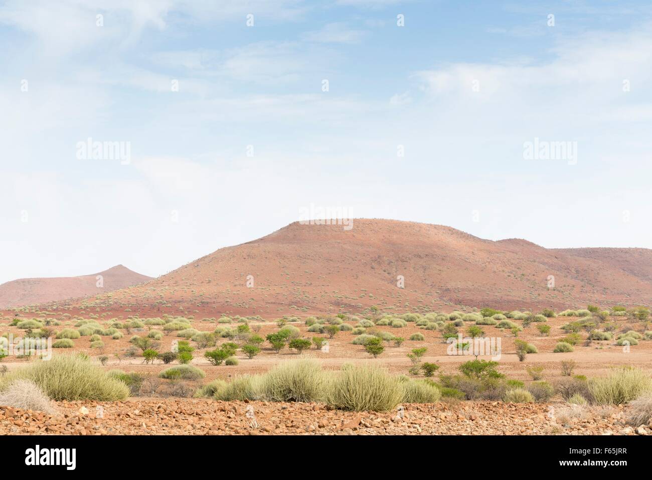 Landschaft in der Nähe von Sesfontein, Kunene Provinz, Namibia, Afrika Stockfoto