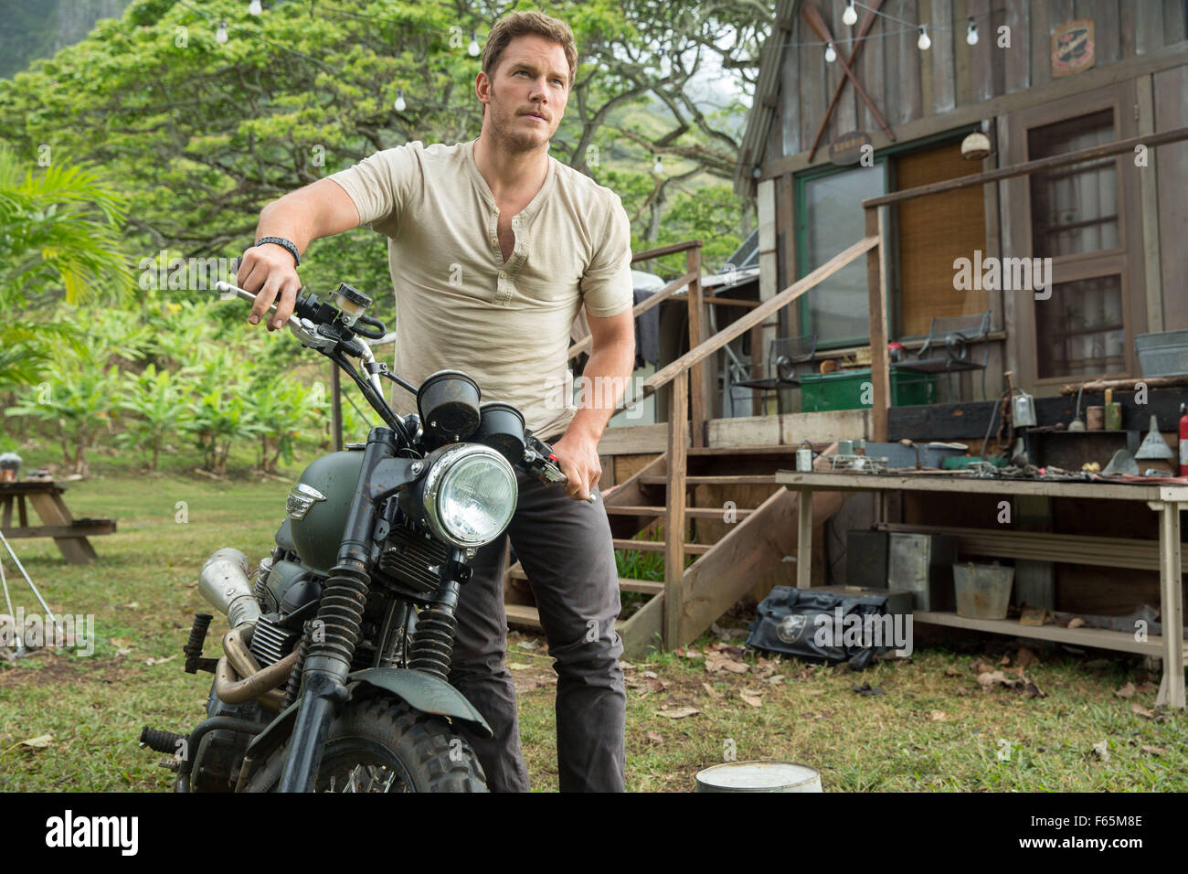 Jurassic World Jahr: 2015-USA Regie: Colin Trevorrow Chris Pratt Stockfoto