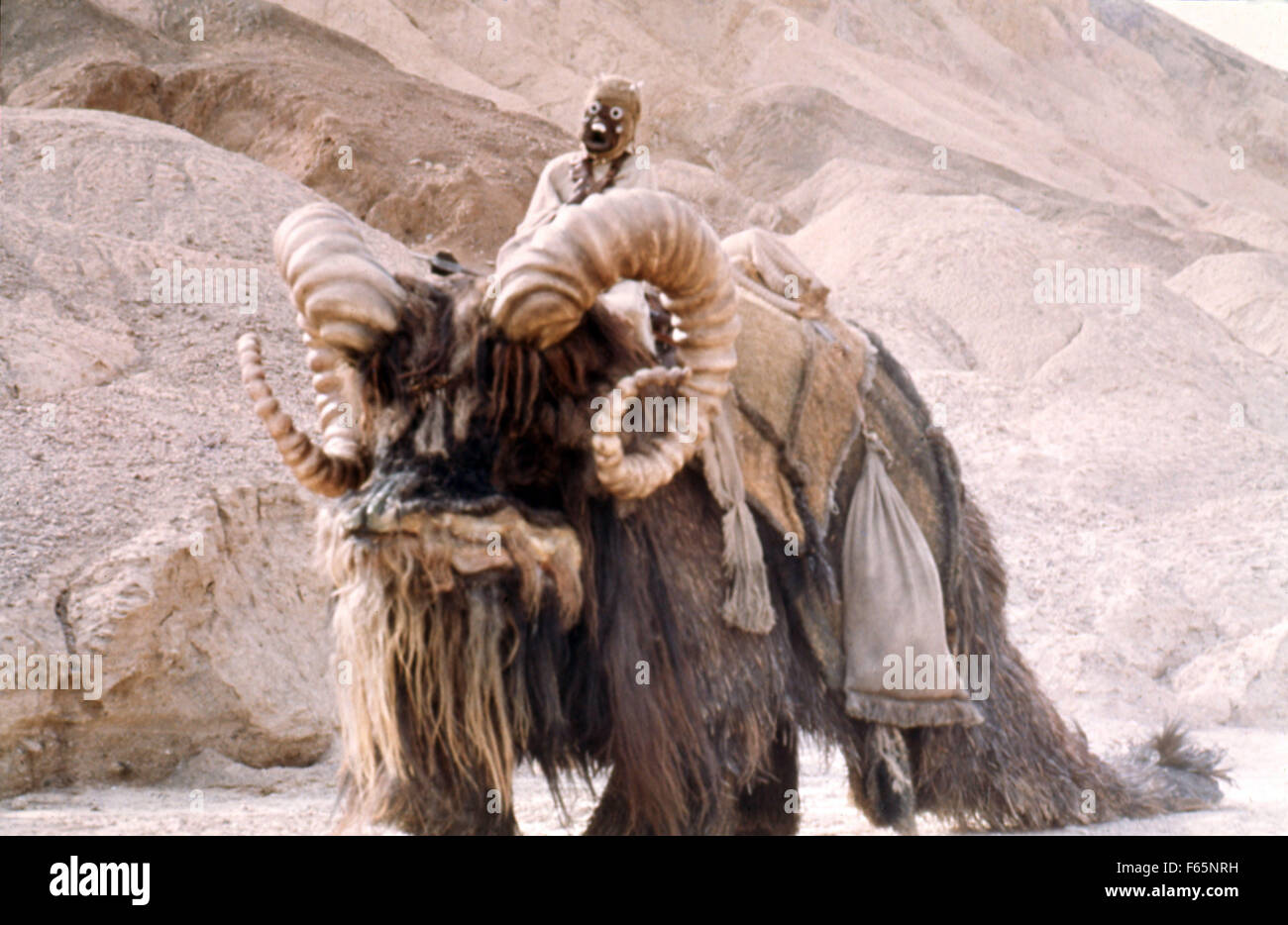 Star Wars: Episode IV – eine neue Hoffnung-Jahr: 1977 USA Regie: George Lucas Stockfoto