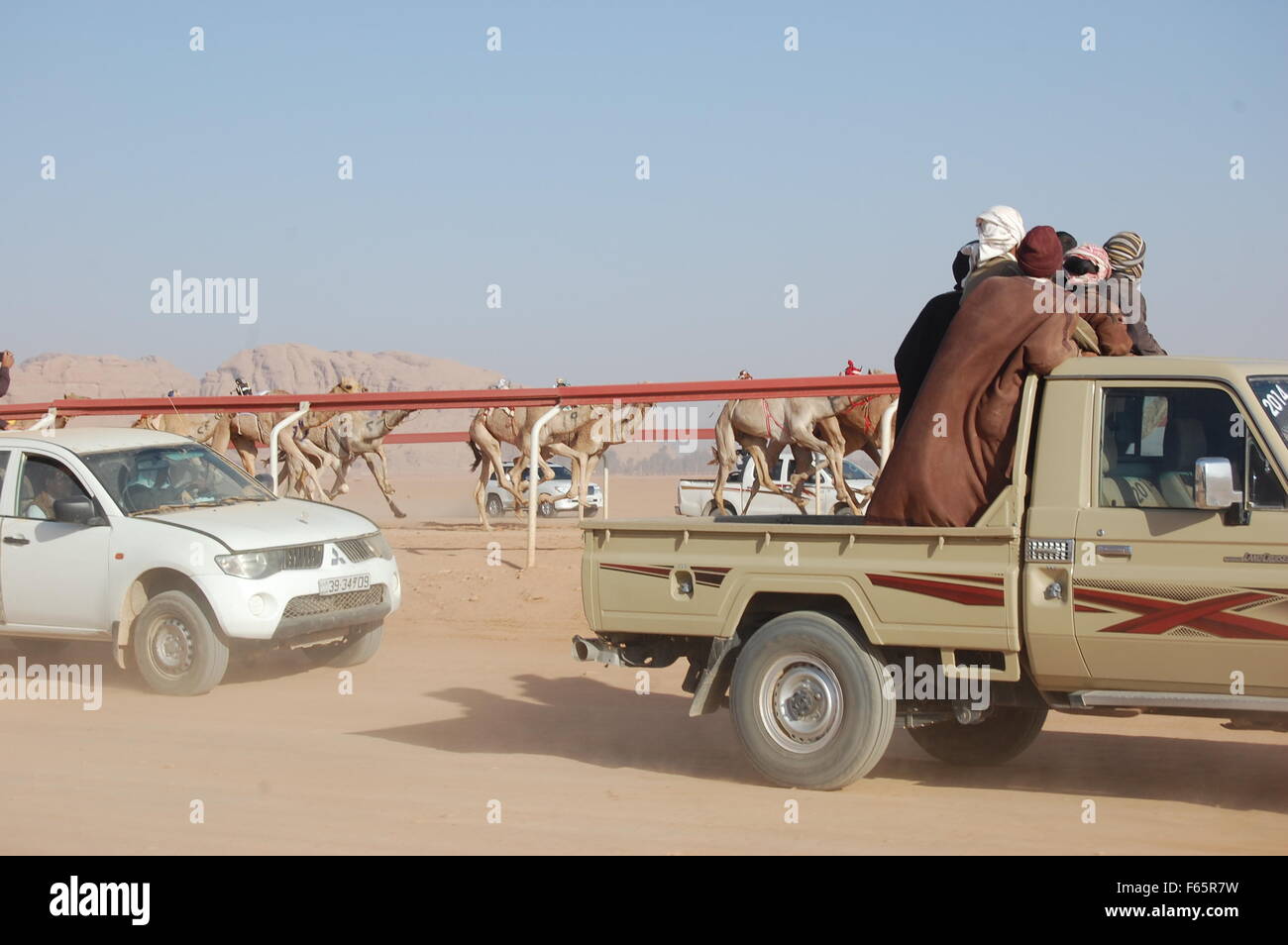 Kamelrennen in Wadi Rum, Jordanien Stockfoto