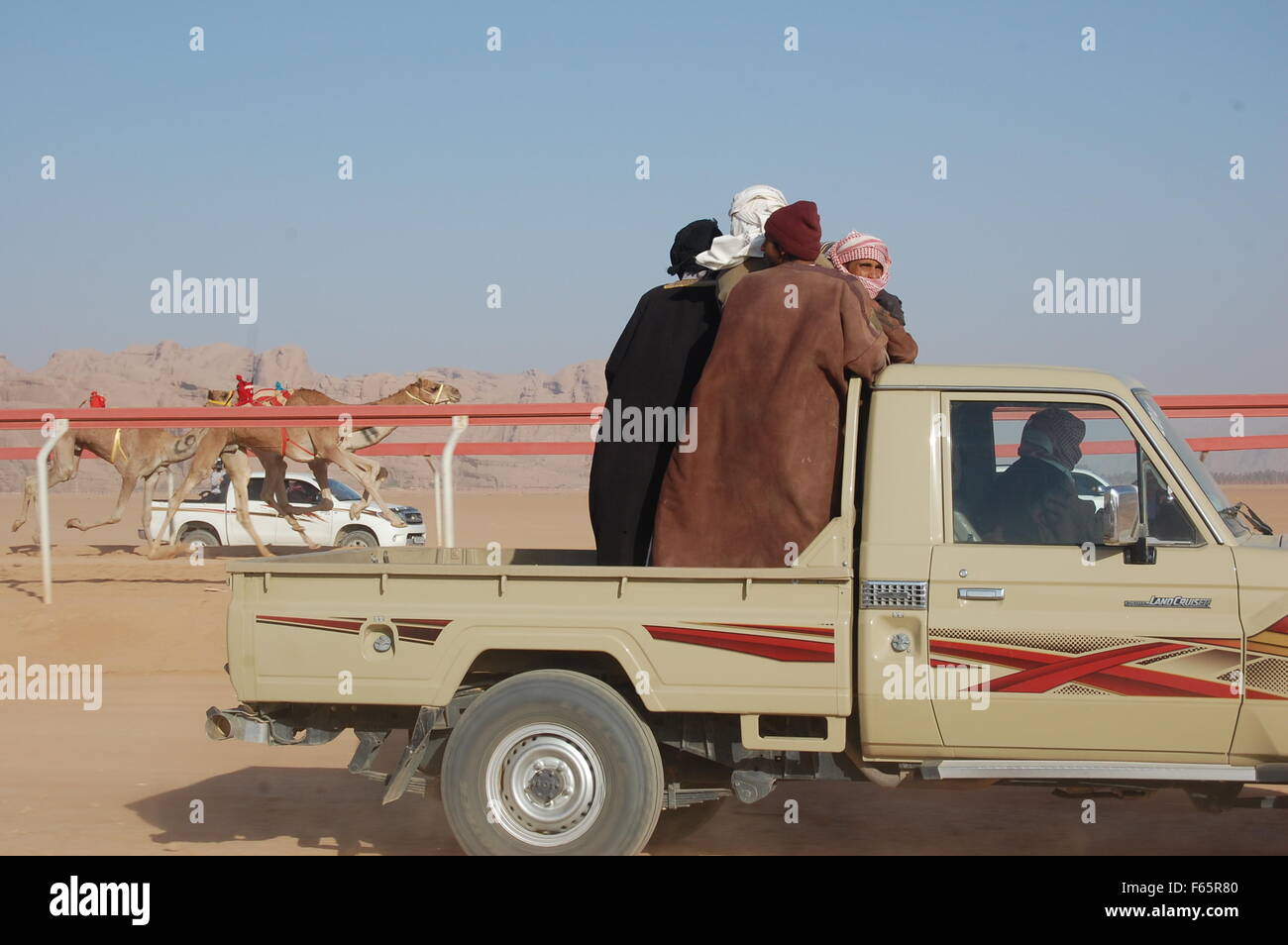 Kamelrennen in Wadi Rum, Jordanien Stockfoto