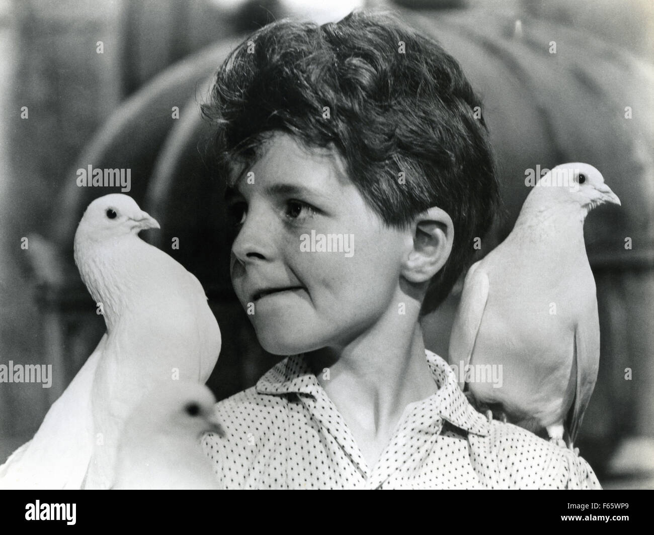 Die unschuldigen Jahr: 1961 UK / USA Regie: Jack Clayton Martin Stephens Stockfoto