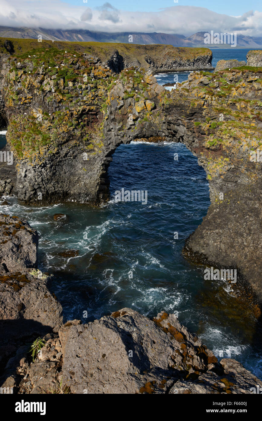 Natürliche Bögen der Basaltfelsen und Nord-Atlantik am Meeresküste Islands Stockfoto