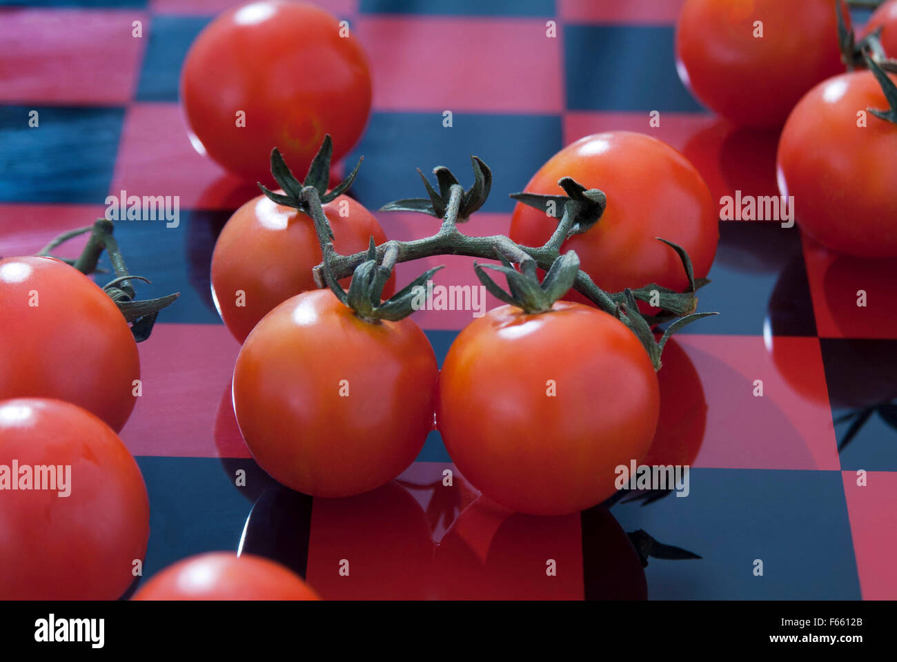 Vined Tomaten auf roten und schwarzen Schachbrettblöcke Hintergrund geschossen für Design Inspiration Stockfoto