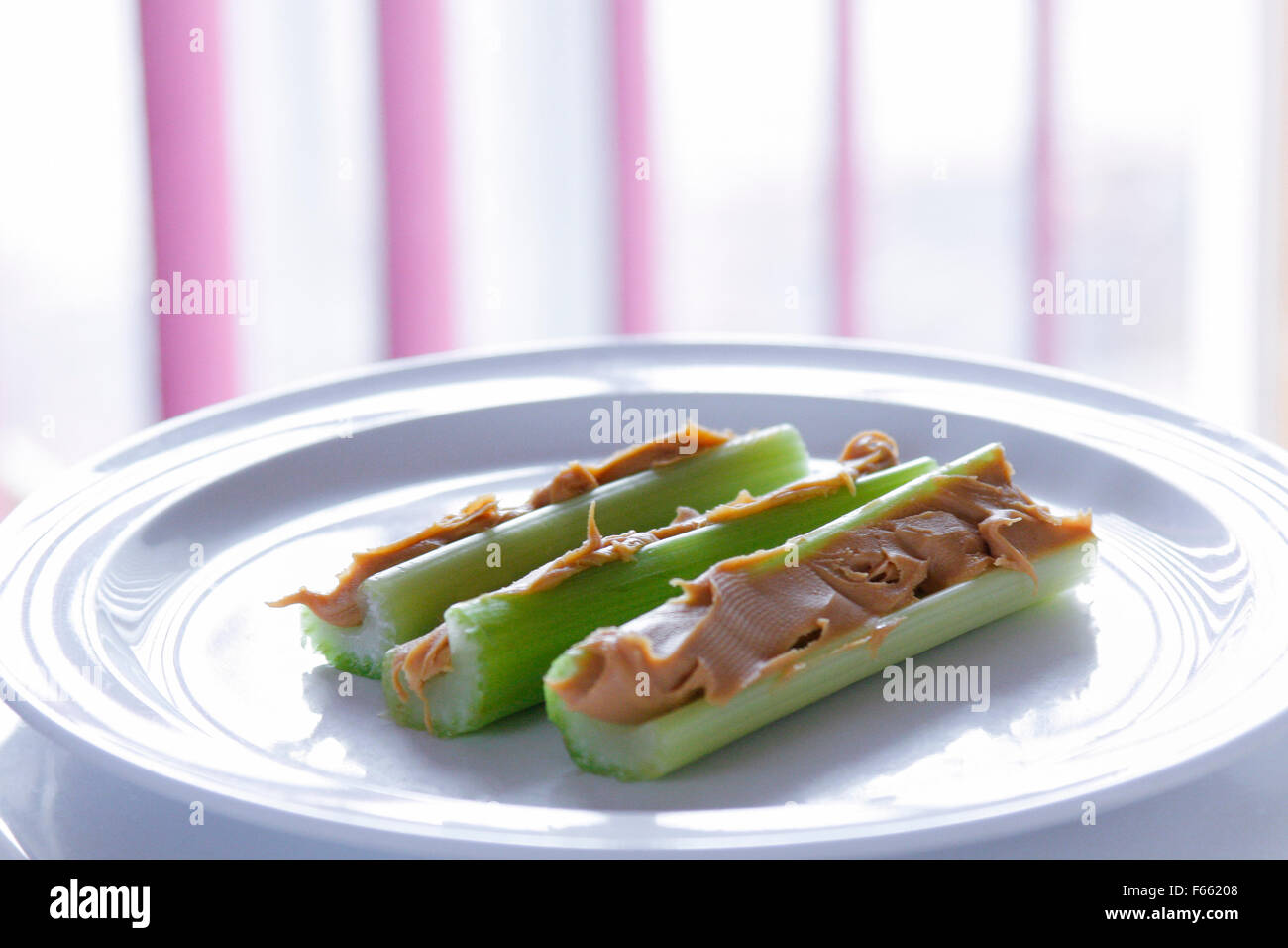 Sellerie mit Erdnussbutter, Ameisen auf einem Baumstamm, auf einem weißen Teller mit Tageslicht Stockfoto